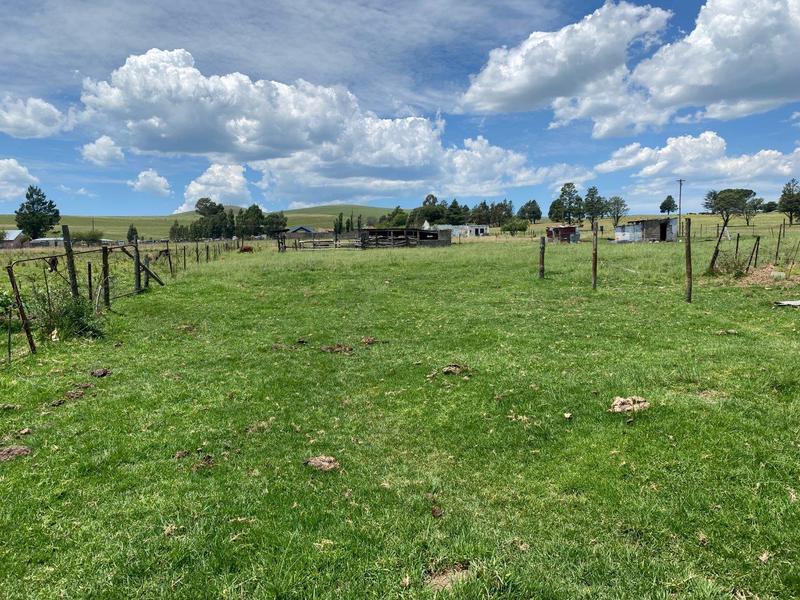 0 Bedroom Property for Sale in Elliot Eastern Cape